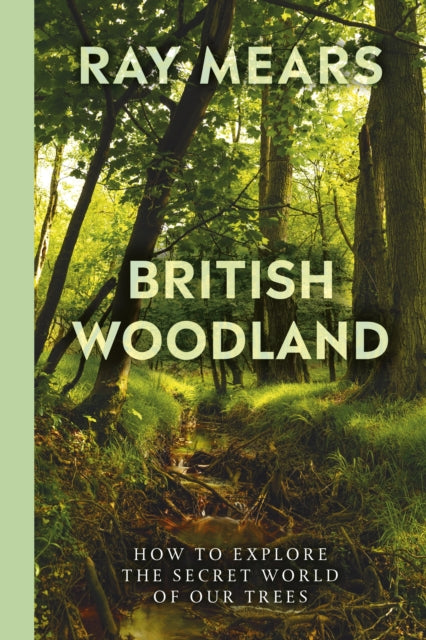 British Woodland : How to explore the secret world of our trees