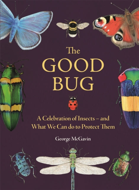 The Good Bug : A Celebration of Insects – and What We Can Do to Protect Them