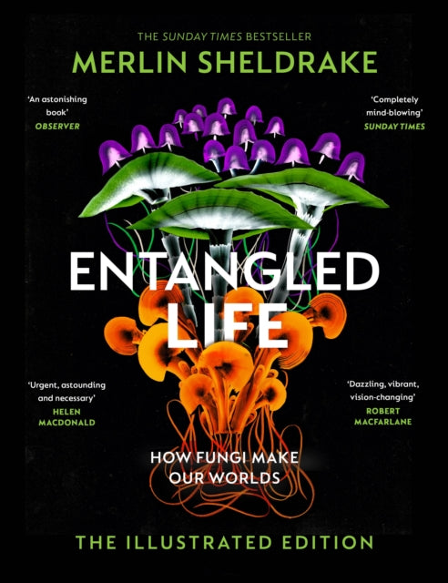 Entangled Life (The Illustrated Edition) : A beautiful new gift edition featuring 100 illustrations for Christmas 2023