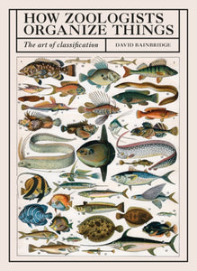 How Zoologists Organize Things : The Art of Classification