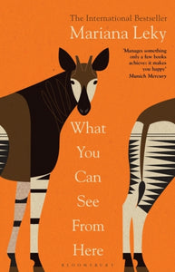 What You Can See From Here : The International Bestseller translated by Tess Lewis