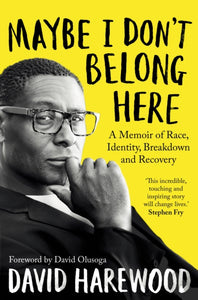Maybe I Don't Belong Here : A Memoir of Race, Identity, Breakdown and Recovery